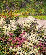 Hugh Henry Breckenridge White Phlox oil painting artist